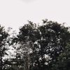 user20240823_