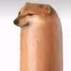 f3l1_d0wn2