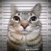 bruno7_7_