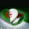 farid.06037
