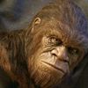 apeman_az