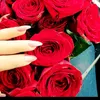 wissamalsayed653