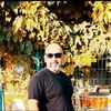 alihafez094