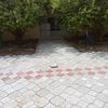 oumarsarr543