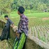 sababol