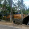 ducthinvu