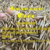 quoc888866