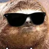 paddy_issues
