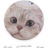 user8618118883005