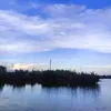 mduyen252