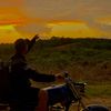 arbi_756