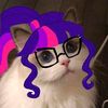 twilightsparklethecat