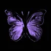 little_butterfly666