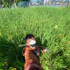 Anak Banih🌾