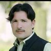 arifshah8875