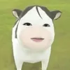 hhhvyyys