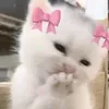 bananaandmilk3