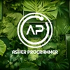 asherprogrammer.io