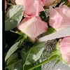 .hi_040