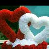 _ilove1595