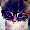 glsxyy.hlshn