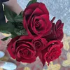 rabiya.223