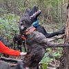 adamarmentrout181