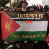 ynwa_haris
