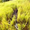 ayush.bam.thakuri