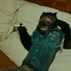 jonjonmetal