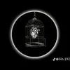 nguyenlyn879
