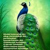 user2024_153