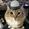 daimondwolfy