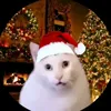luuhcanto4