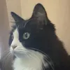 マテラッツィ(元イタリア代表🇮🇹)