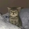 lznhozzk