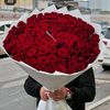 no3h.4876151515292