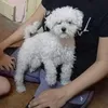 patri_jael