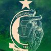 alialsaeh_4