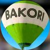 bakorifreshfaces
