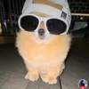 fxanderson1