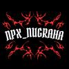 npxnugraha