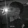 wallace_santzx
