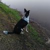 willhebert98
