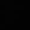 lennesilva40