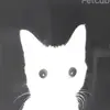 alex__vrchat