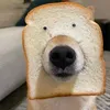 chiuditcutiktoklon
