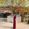 cao.tuyt.nghi