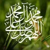 abdulrazzaq6358