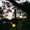 frhn_rdtya06